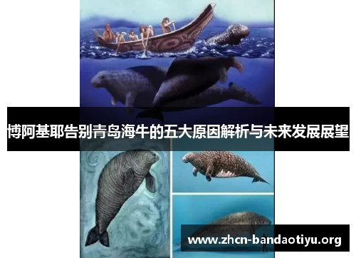 博阿基耶告别青岛海牛的五大原因解析与未来发展展望