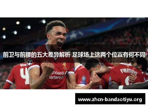 /uploads/images/20250926/qian-wei-yu-qian-yao-de-wu-da-cha-yi-jie-xi-zu-qiu-chang-shang-zhe-liang-ge-wei-zhi-you-he-bu-tong.webp