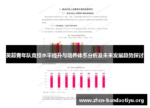 英超青年队竞技水平提升与培养体系分析及未来发展趋势探讨
