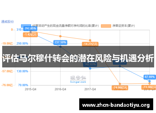 评估马尔穆什转会的潜在风险与机遇分析
