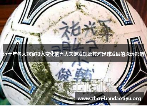 近十年各大联赛投入变化的五大关键发现及其对足球发展的深远影响 近十年各大联赛投入变化的五大关键发现及其对足球发展的深远影响